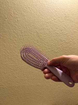 View Gallery Image #5