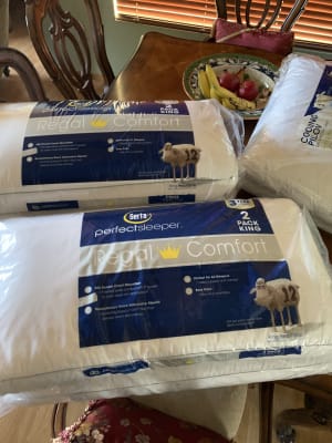Serta regal deals comfort pillow