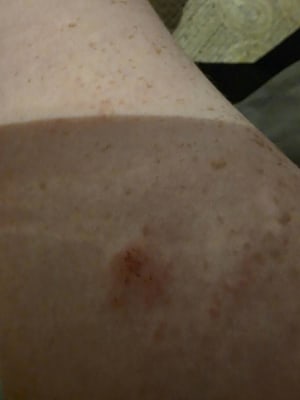 View Gallery Image #7