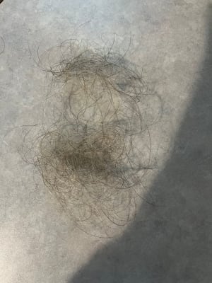 View Gallery Image #5