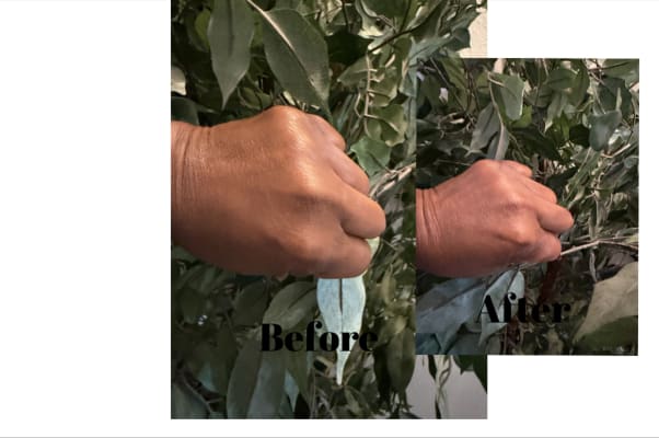 View Gallery Image #1