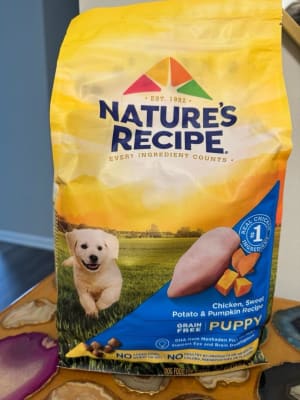 Nature s Recipe Grain Free Puppy Dry Dog Food