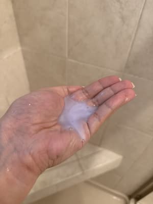 View Gallery Image #8