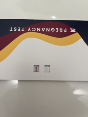 View Gallery Image #4