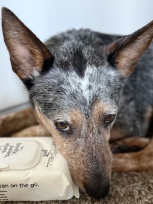 View Gallery Image #5