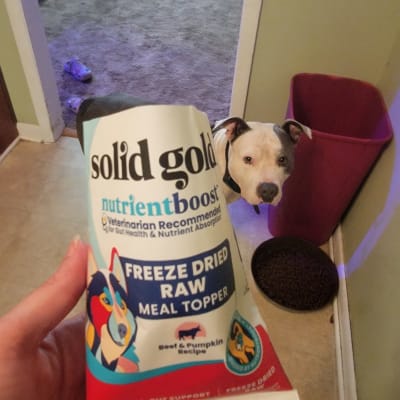Raw gold dog food on sale