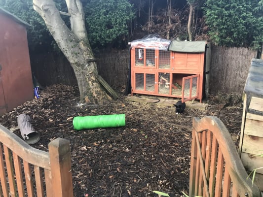 Bluebell and fern thermal hutch cover ebay deals
