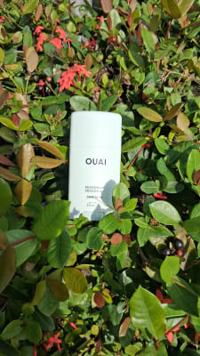 View Gallery Image #2