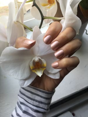 View Gallery Image #4