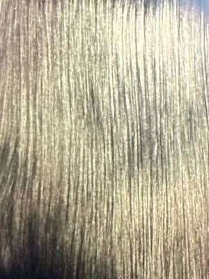 View Gallery Image #4