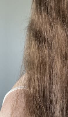 View Gallery Image #5