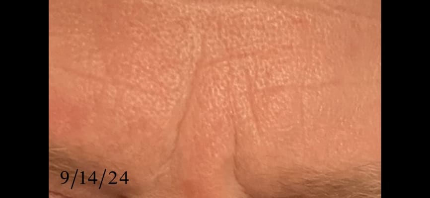 View Gallery Image #4