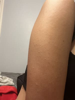 View Gallery Image #2