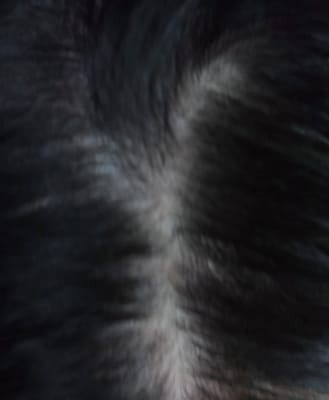 View Gallery Image #9