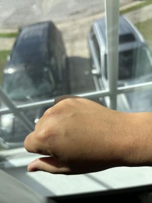 View Gallery Image #10