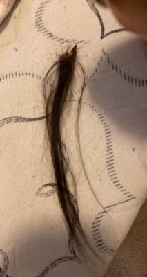 View Gallery Image #2