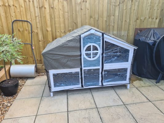 foxglove rabbit hutch