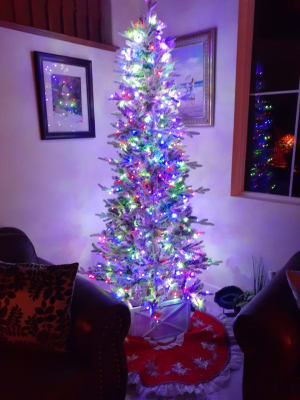 Big lots christmas tree lights