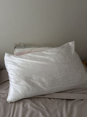 View Gallery Image #5