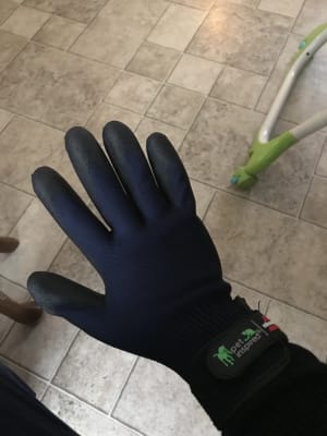 Bissell pet hair deals eraser grooming gloves