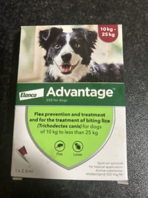 Advantage 250 Spot On Dog Flea Treatment for Dogs 10 24.99kg