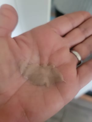 View Gallery Image #2