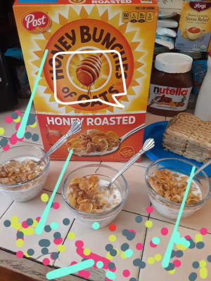 Honey Bunches of Oats Honey Roasted | Post Consumer Brands