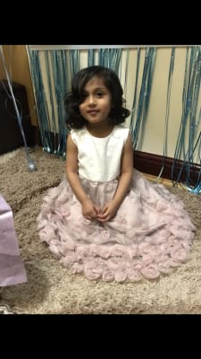 monsoon pink ianthe dress