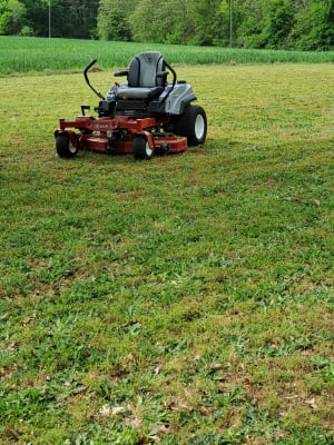 Exmark quest s series sales zero turn rider qzs708gem
