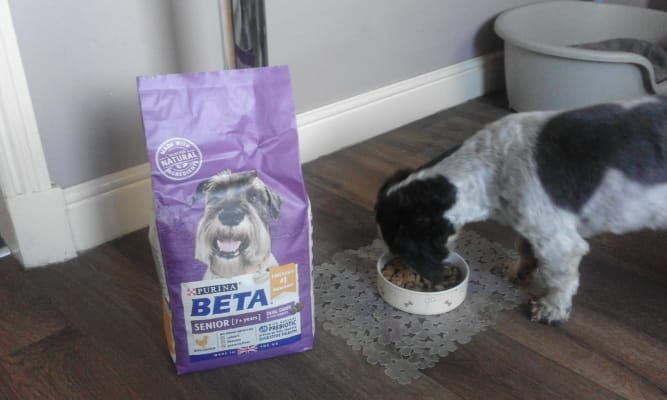 Pets at home sale beta dog food