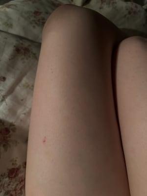 View Gallery Image #12
