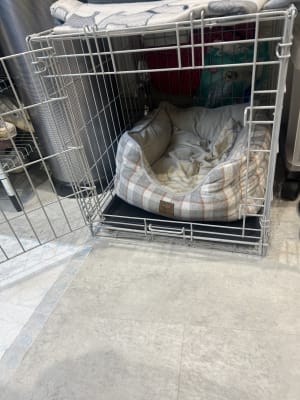 Pets at Home Double Door Dog Crate Grey X Small Pets At Home