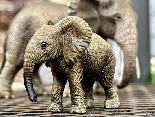 Schleich elephant cheap