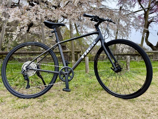 Trek / FX 3 Disc