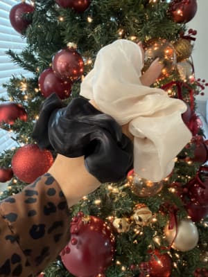 View Gallery Image #7