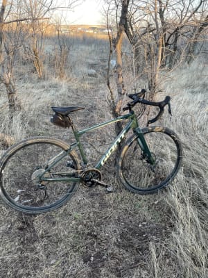 Giant revolt on sale 2 trekking green
