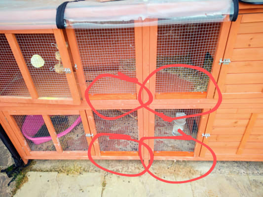 Bluebell rabbit 2025 hutch cover