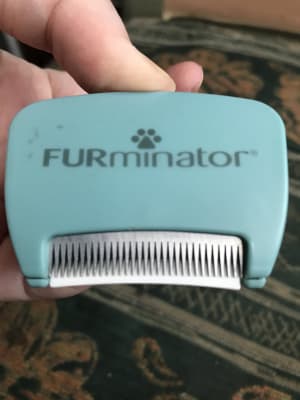FURminator Long Hair DeShedding Tool for Cats, Large Size 
