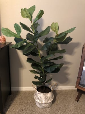 Faux Fiddle Leaf Fig Plant World Market