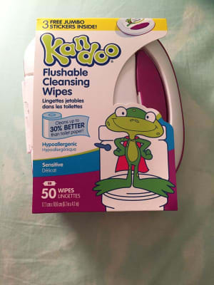 Kandoo Flushable Wipes with Flip Top - 400ct 400 ct