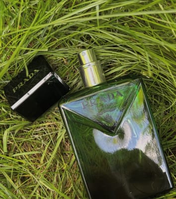 View Gallery Image #2