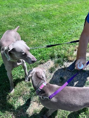 View Gallery Image #3