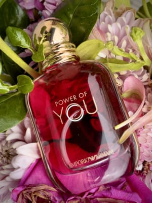 View Gallery Image #3