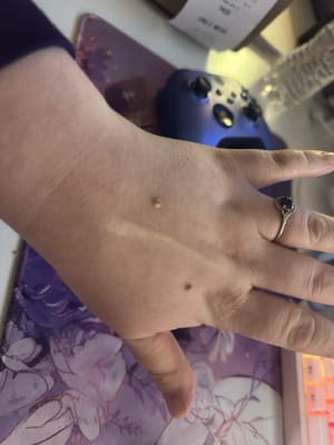 View Gallery Image #15