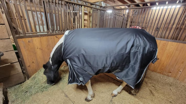 Couverture Cheval Dover Riders International 76" - Noire, Imperméable, Remplissage 100g