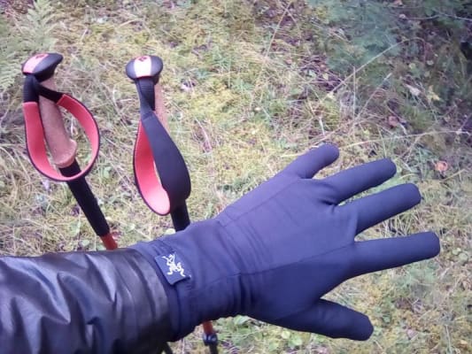 Arcteryx gothic glove hotsell