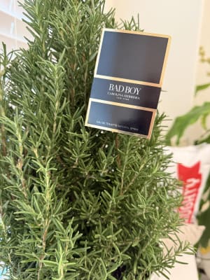 View Gallery Image #2