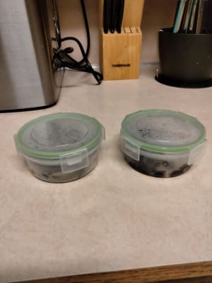 Home Basics - Mini Locking Lid Containers, 3-Piece Set