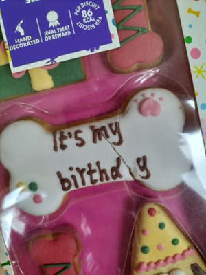 Birthday hotsell dog cookies