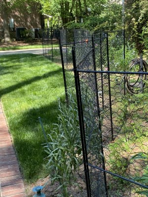 Chicken Wire Critter Fence, 16 High